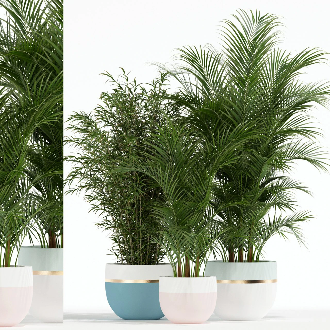 Plants collection 136 3D Model .c4d .max .obj .3ds .fbx .stl .blend 