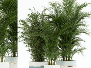 Plants collection 136 3D मॉडल