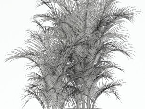 Plants collection 136 3D Model