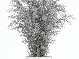 Plants collection 136 3D Model