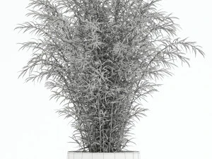 Plants collection 136 3D Model