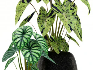 Plants collection 137 3D Model