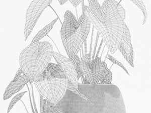 Plants collection 137 3D Model