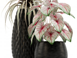 Plants collection 137 3D Model