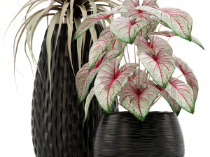 Plants collection 137 3D Model