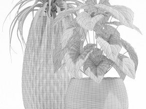 Plants collection 137 3D Model