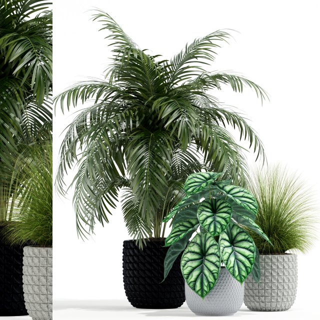 Plants collection 138 3D 모델 .c4d .max .obj .3ds .fbx .stl .blend