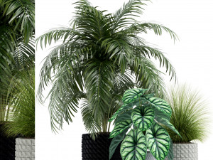 Plants collection 138 3Dモデル