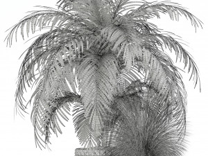 Plants collection 138 3D 모델
