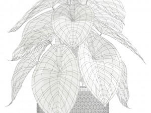 Plants collection 138 3D 모델