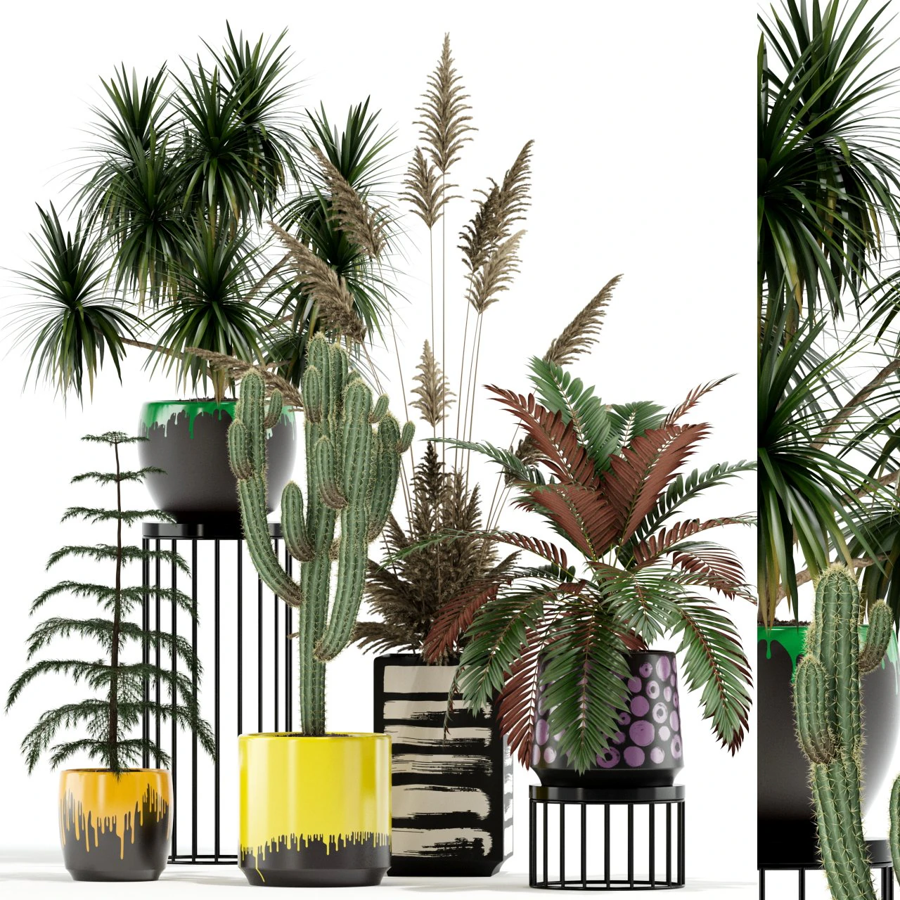 Plants collection 139 3D Model .c4d .max .obj .3ds .fbx .stl .blend 