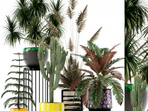 Plants collection 139 3D Модель