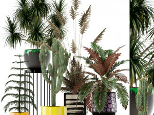 植物收藏 139 3D 模型