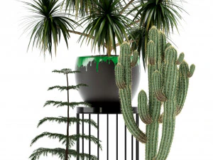 Plants collection 139 3D Model