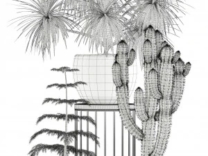 Plants collection 139 3D Model