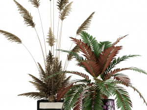 Plants collection 139 Modelo 3D