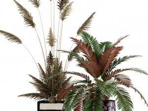 Plants collection 139 3D Model