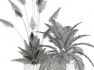 Plants collection 139 Modelo 3D