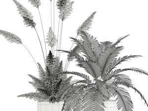 Plants collection 139 3D Model