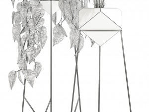 Plants collection 140 Jade 3D 模型