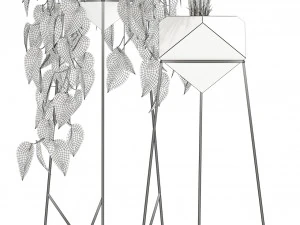 Plants collection 140 Jade 3D Model