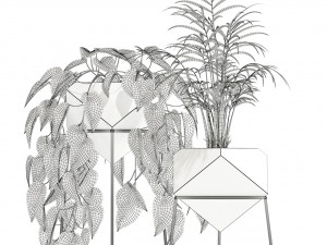 Plants collection 140 Jade 3D 模型