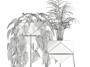Plants collection 140 Jade 3D Model