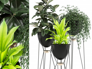 Plants collection 141 MADRE SELVA GRANDE 3D Model