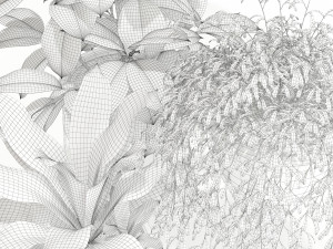 Plants collection 141 MADRE SELVA GRANDE 3D 모델