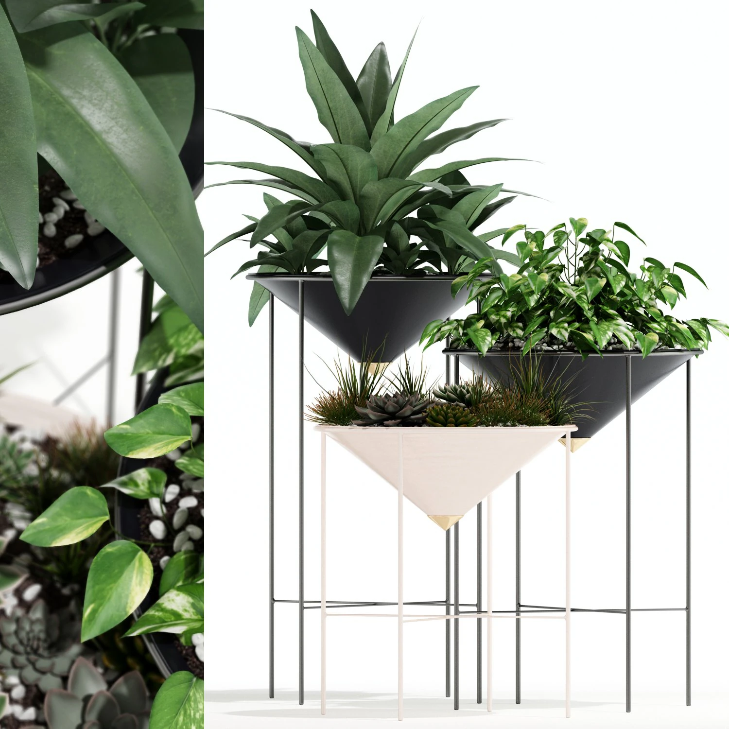 Plants collection 142 Artica 3D Model .c4d .max .obj .3ds .fbx .stl .blend 