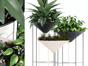 Plants collection 142 Artica Model 3D