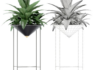 Plants collection 142 Artica Model 3D