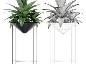 Plants collection 142 Artica 3D Model