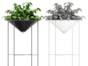Plants collection 142 Artica 3D Model