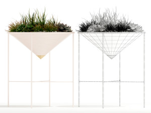 Plants collection 142 Artica Model 3D