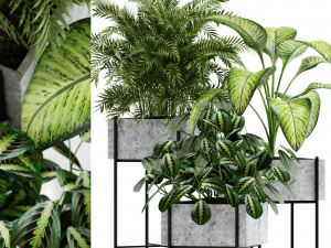 Bitki koleksiyonu 143 Opalo 3D Model