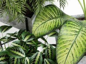 Plants collection 143 Opalo 3D-Modell
