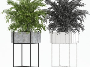 Plants collection 143 Opalo 3D-Modell