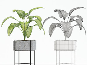 Plants collection 143 Opalo 3D-Modell