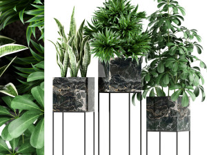 Plants collection 144 MAIA Model 3D