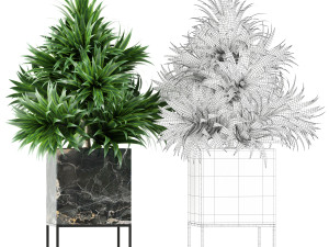Plants collection 144 MAIA Model 3D