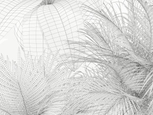 Plants collection 145 PIEDRA LUNA 3D Model