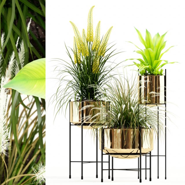 Plants collection 146 AGATA 3D Model .c4d .max .obj .3ds .fbx .stl .blend 