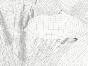 Plants collection 146 AGATA 3D Model