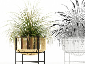 Plants collection 146 AGATA 3D Model