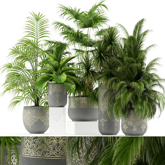 Plants collection 147 Modelo 3D .c4d .max .obj .3ds .fbx .stl .blend 