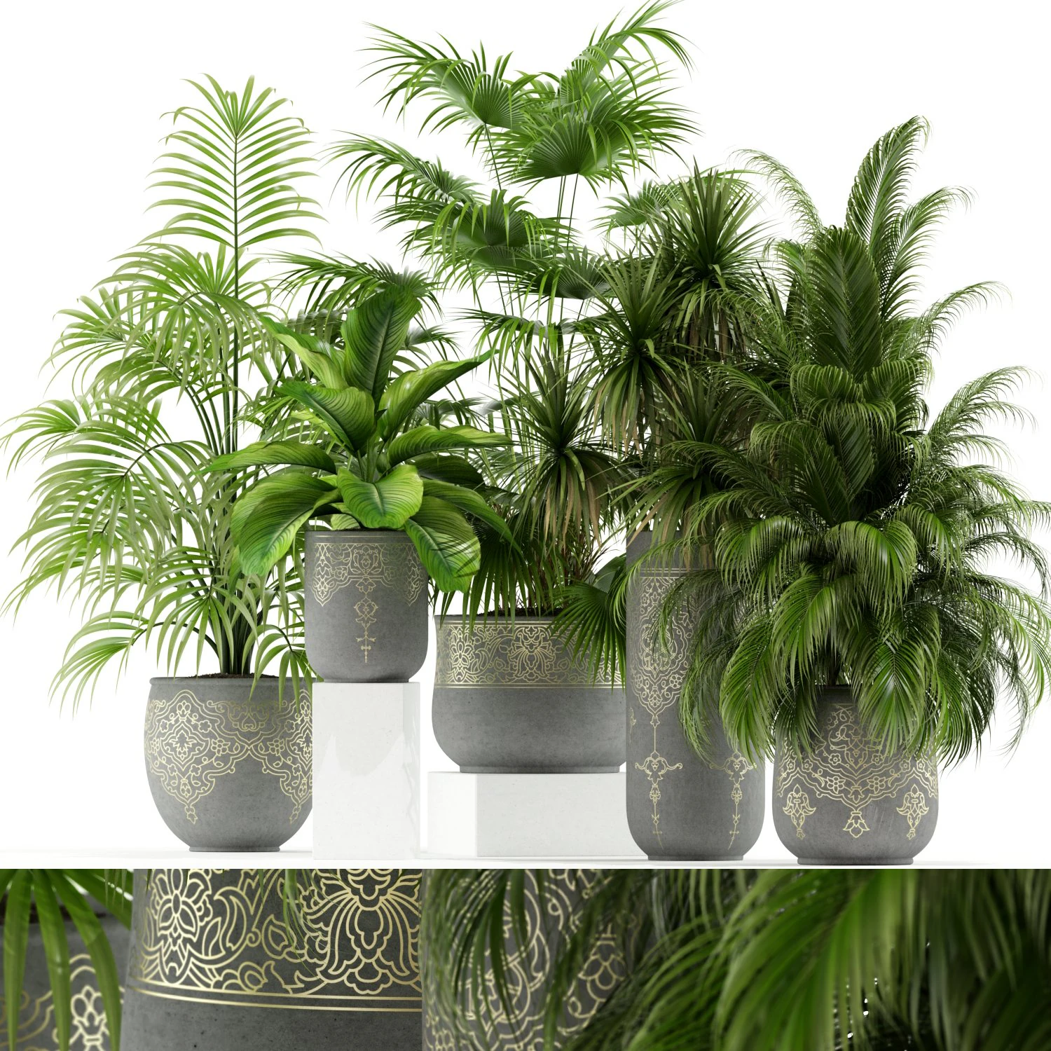 Colecci&oacute;n de plantas 147 Modelo 3D .c4d .max .obj .3ds .fbx .stl .blend 