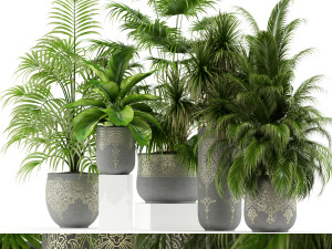 Plants collection 147 3D Model