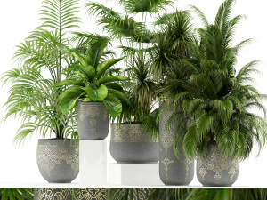 Koleksi tanaman 147 Model 3D