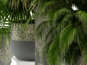 Colecci&oacute;n de plantas 147 Modelo 3D